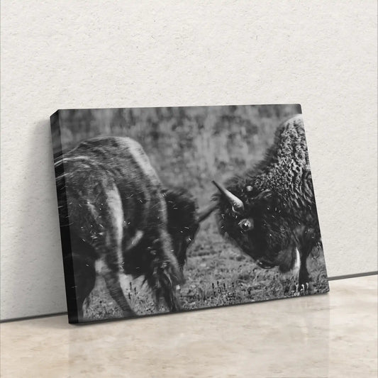 Buffalo Décor, Bison Art, Western Black and White Wildlife Photography