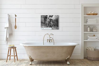 A 16x20 canvas print of a black and white bison photograph elegantly hung over a bathtub, adding a rustic charm to the bathroom.