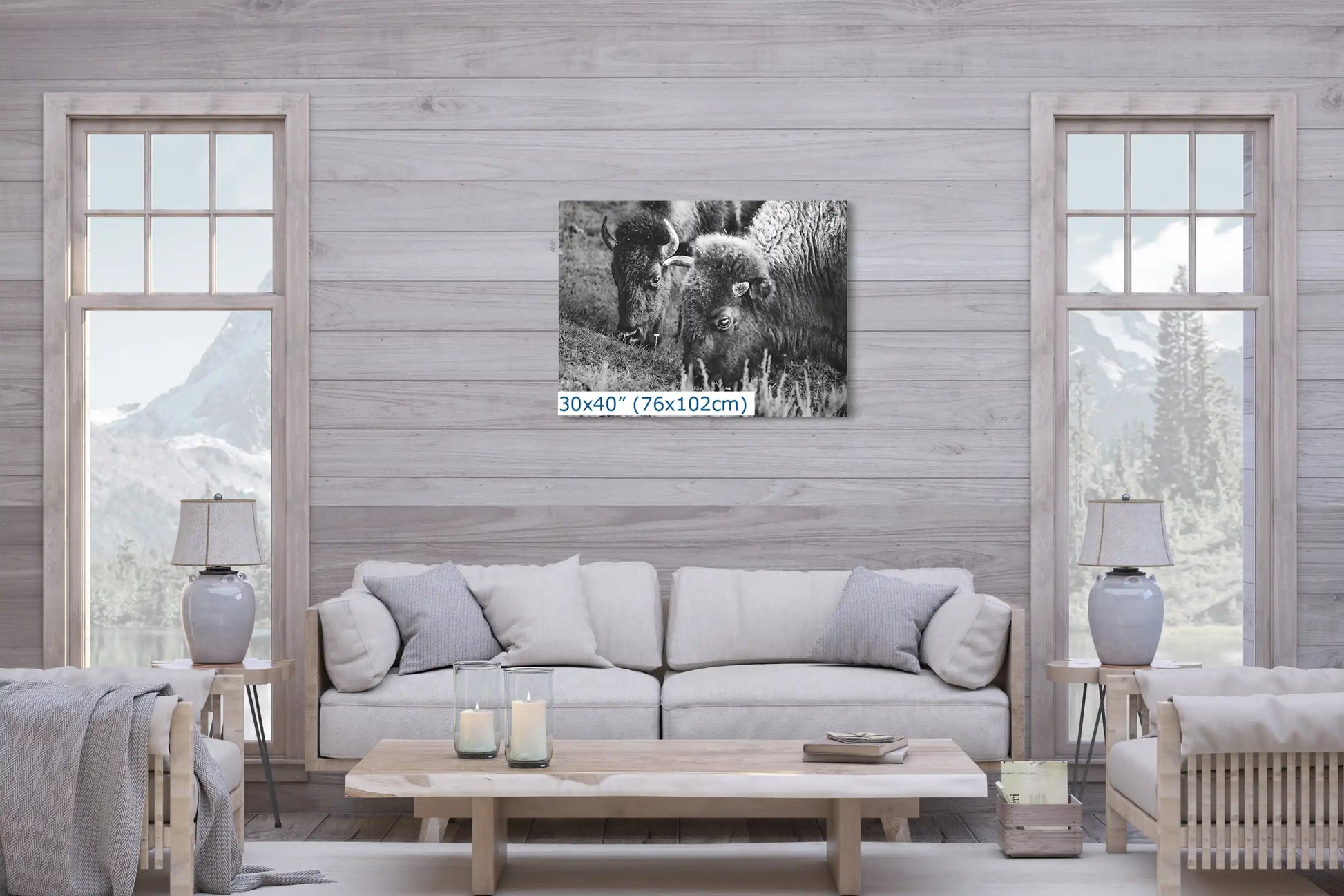 A 30x40 canvas print of a bison in black and white, adding a touch of wilderness to the living room decor.