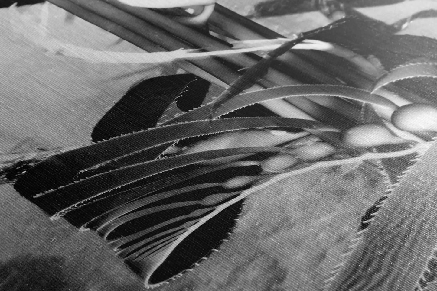 Close-up of underwater giant kelp photograph on canvas, textured surface, California's Channel Islands, ocean art decor detail