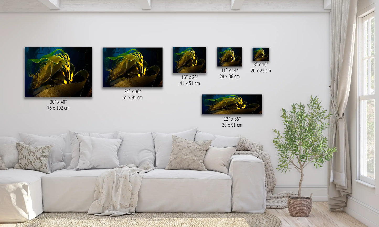 Living room wall adorned with various sizes of canvas prints featuring an underwater photograph of glowing kelp.