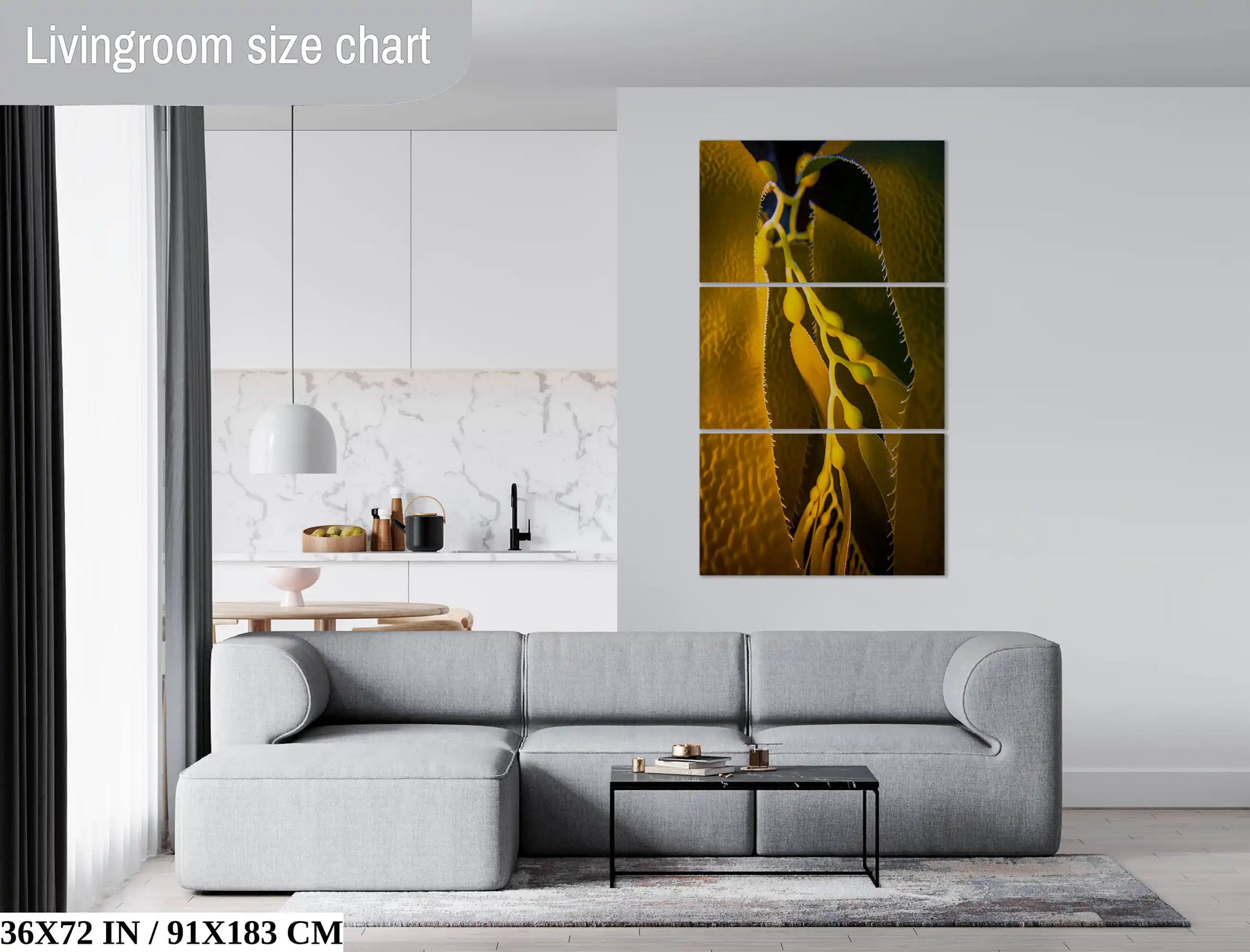 A three-panel 36x72 inch wall display of California Giant Kelp in a spacious living room, each panel showcasing the underwater marvel, creating a striking visual focal point.