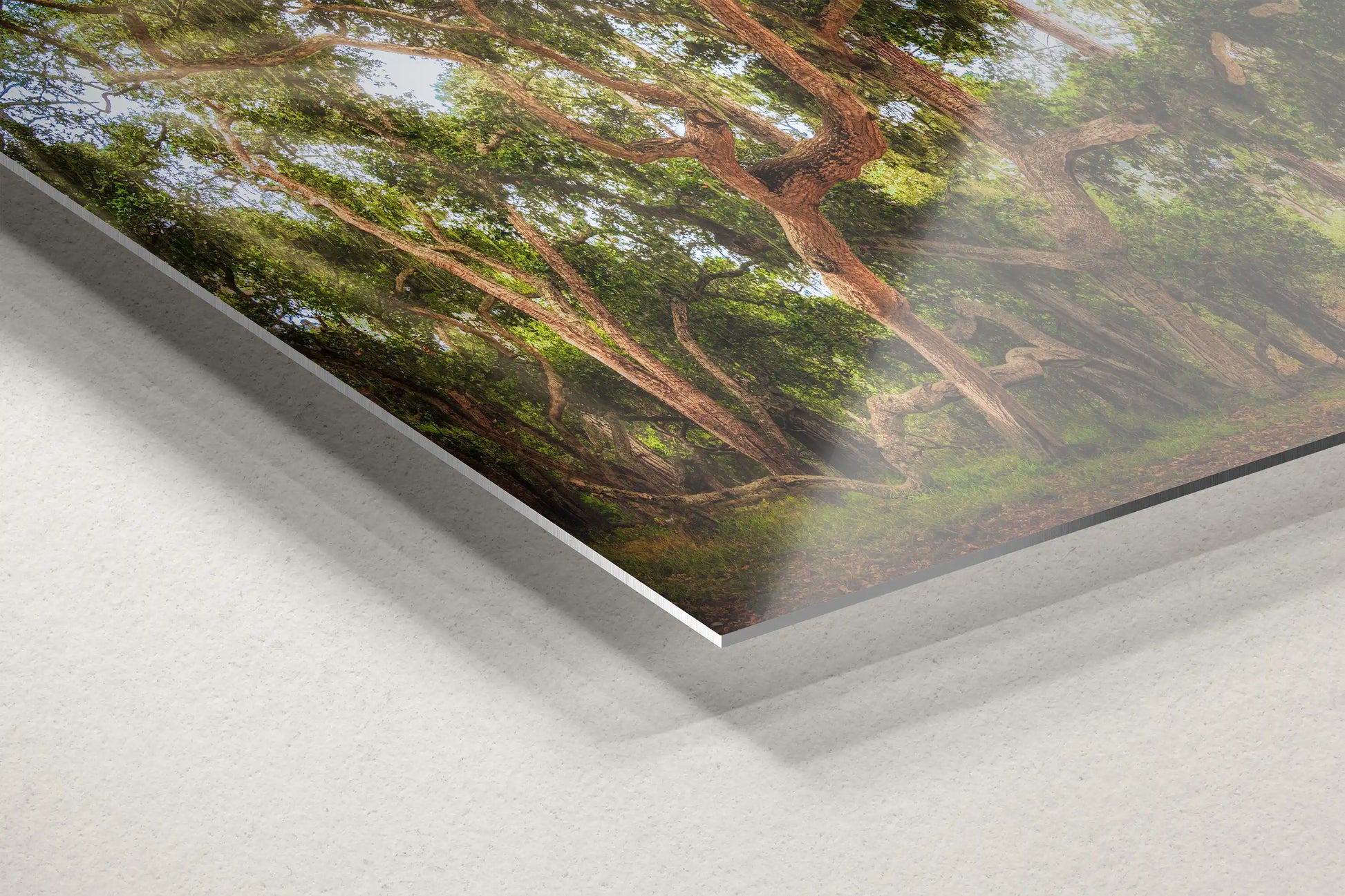 Close-up of a high-quality aluminum metal decor piece depicting the Coast Live Oak Tree, focusing on the detailed textures and colors.