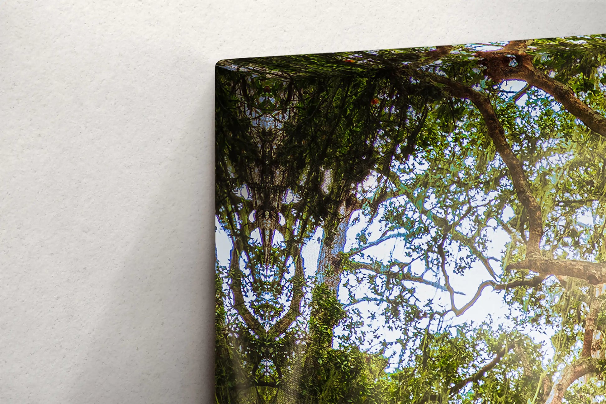 detailed perspective of the Coast Live Oak Tree canvas wall art, capturing the serene energy of the forest.