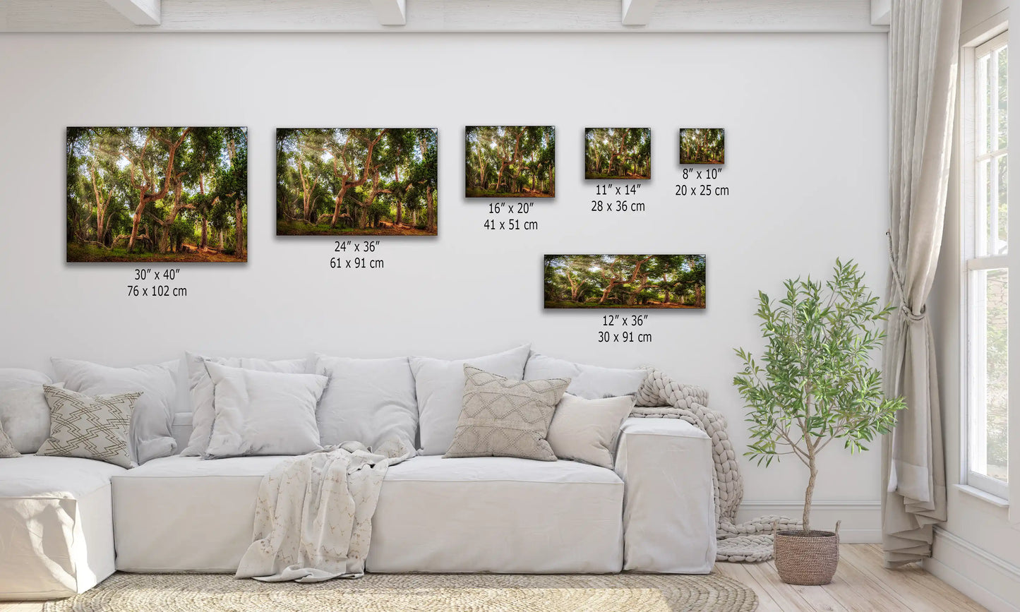 A visual scale comparison of multiple sizes of Coast Live Oak Tree wall art displayed over a couch for home decor inspiration.