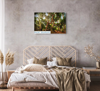 A serene bedroom with a 24x36" Coast Live Oak Tree wall art centered above the bed, bringing the calming essence of nature indoors.