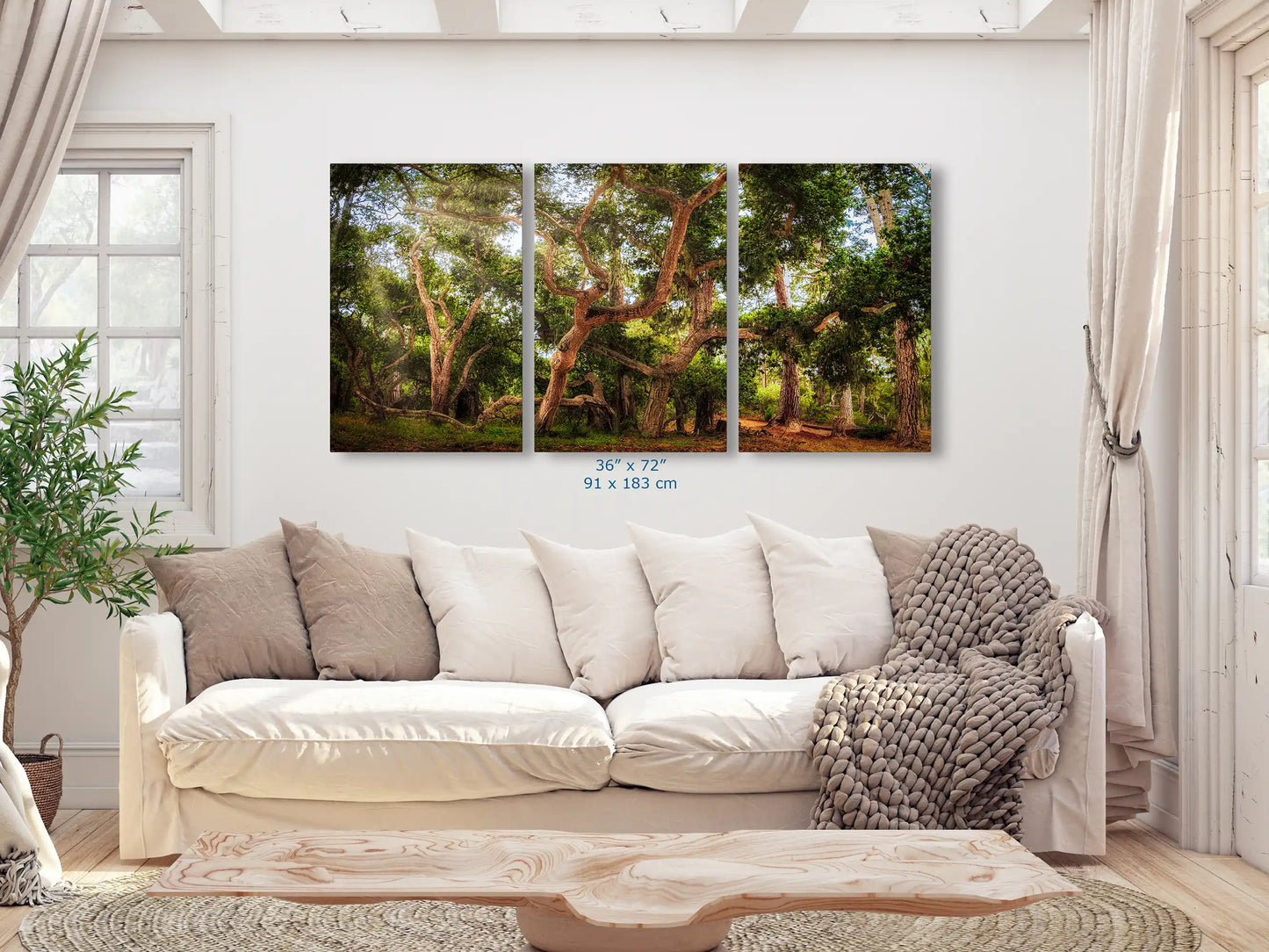 Bright living room decorated with a three-panel 36x72" Coast Live Oak Tree art display above the couch, offering a view into a lush forest scene.