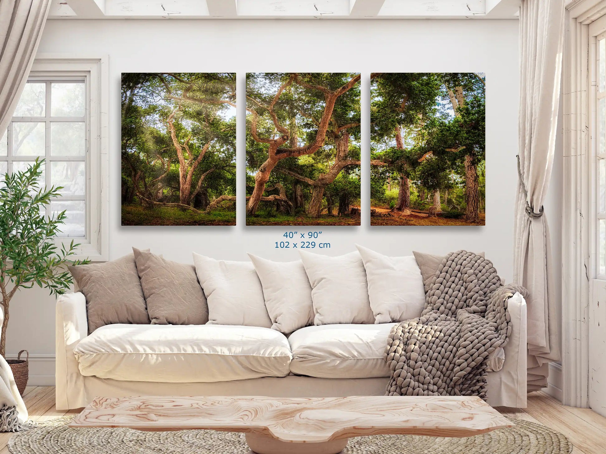 Inviting living room featuring an expansive 40x90" Coast Live Oak Tree wall art triptych, commanding attention and drawing nature into the home.