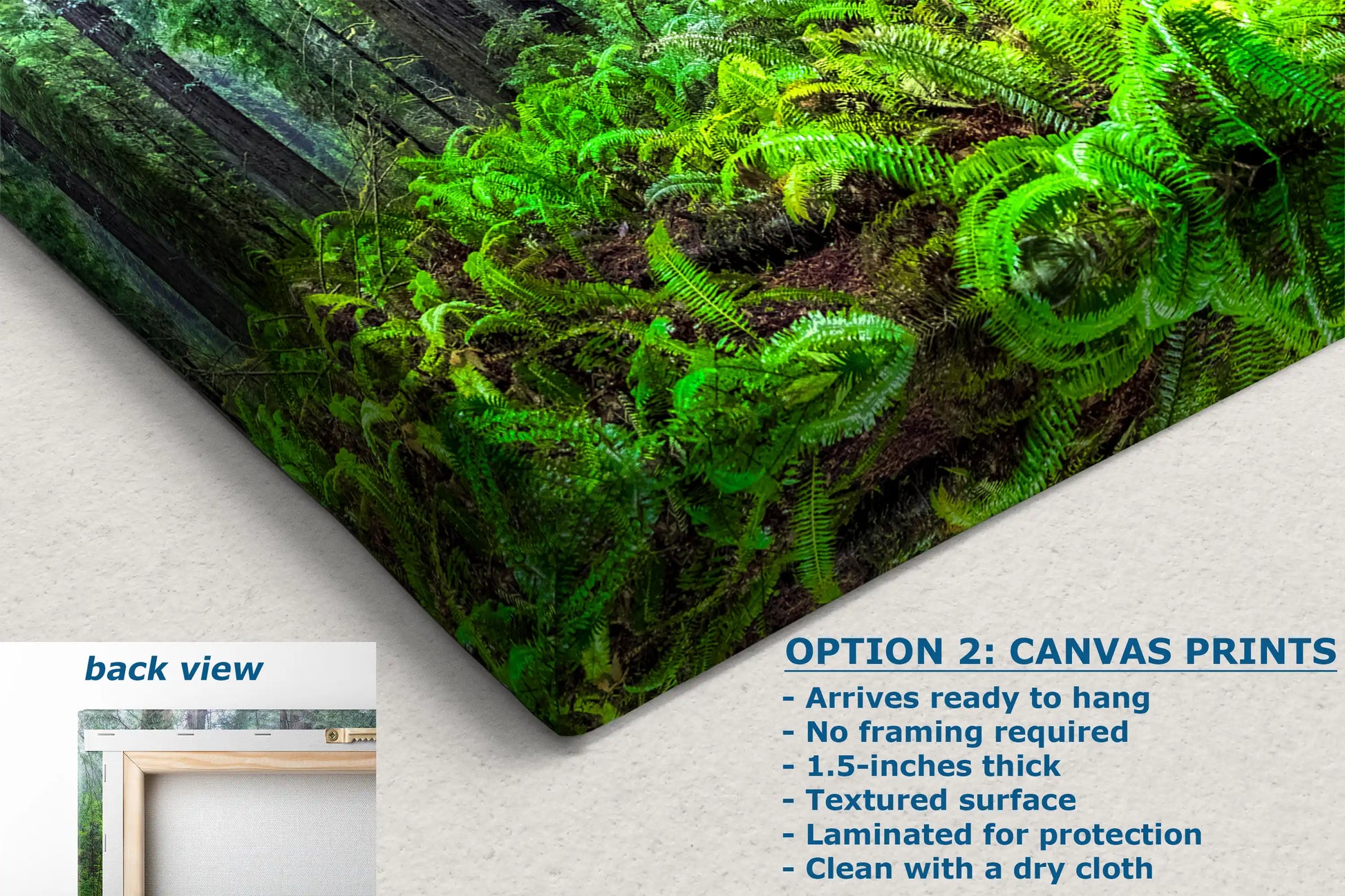 Durable canvas print of a lush, foggy Redwood forest. Ready-to-hang with a textured surface and laminate protection, cleaning requires just a dry cloth.