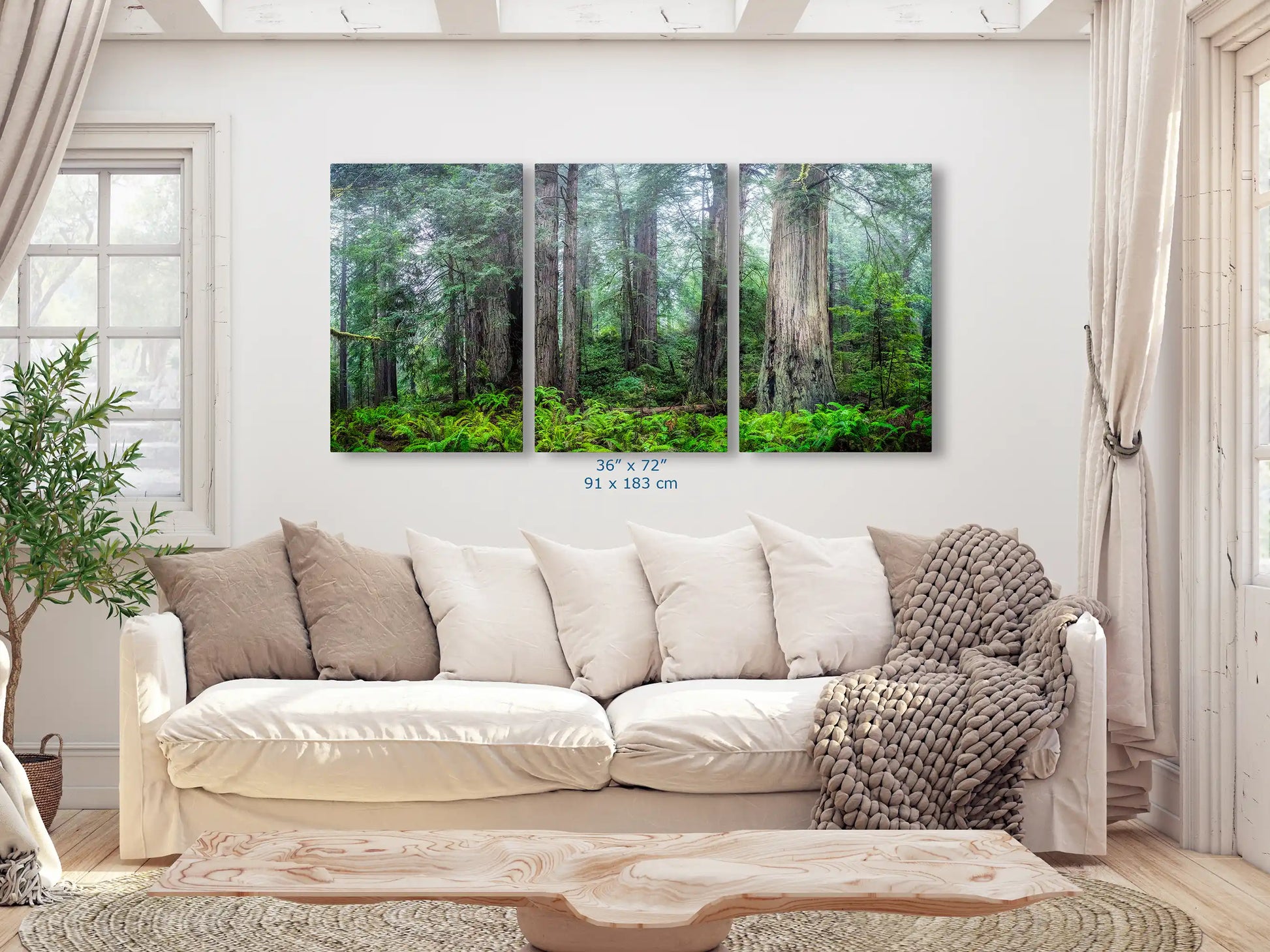 36x72-inch triptych canvas prints above a plush sofa, depicting the lush greenery of the Misty Redwood Forest, inviting nature's tranquility indoors.