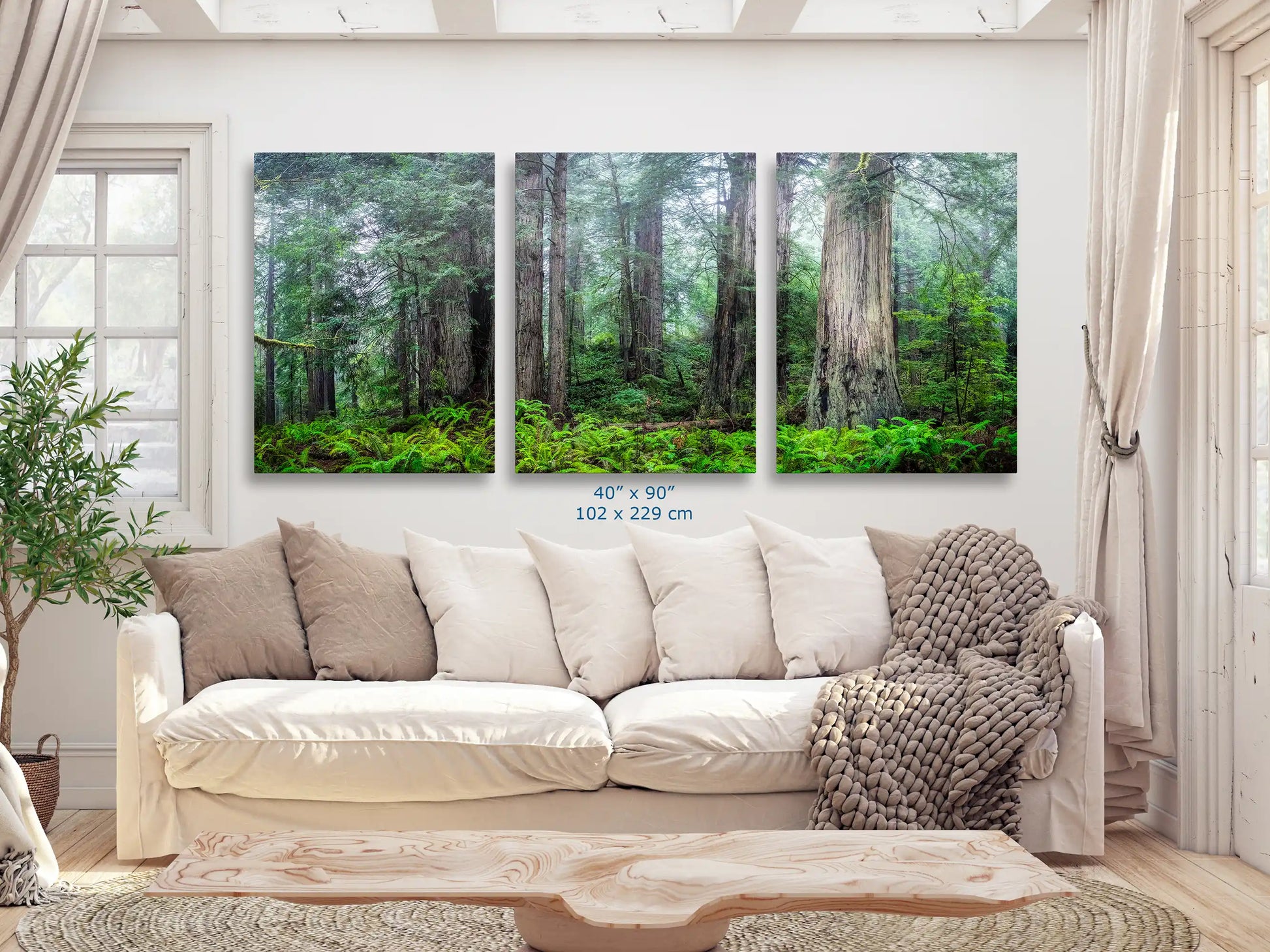 A spacious living room decorated with a 40x90 triptych, each canvas echoing the Misty Redwood Forest's grandeur, creating a captivating natural focal point.