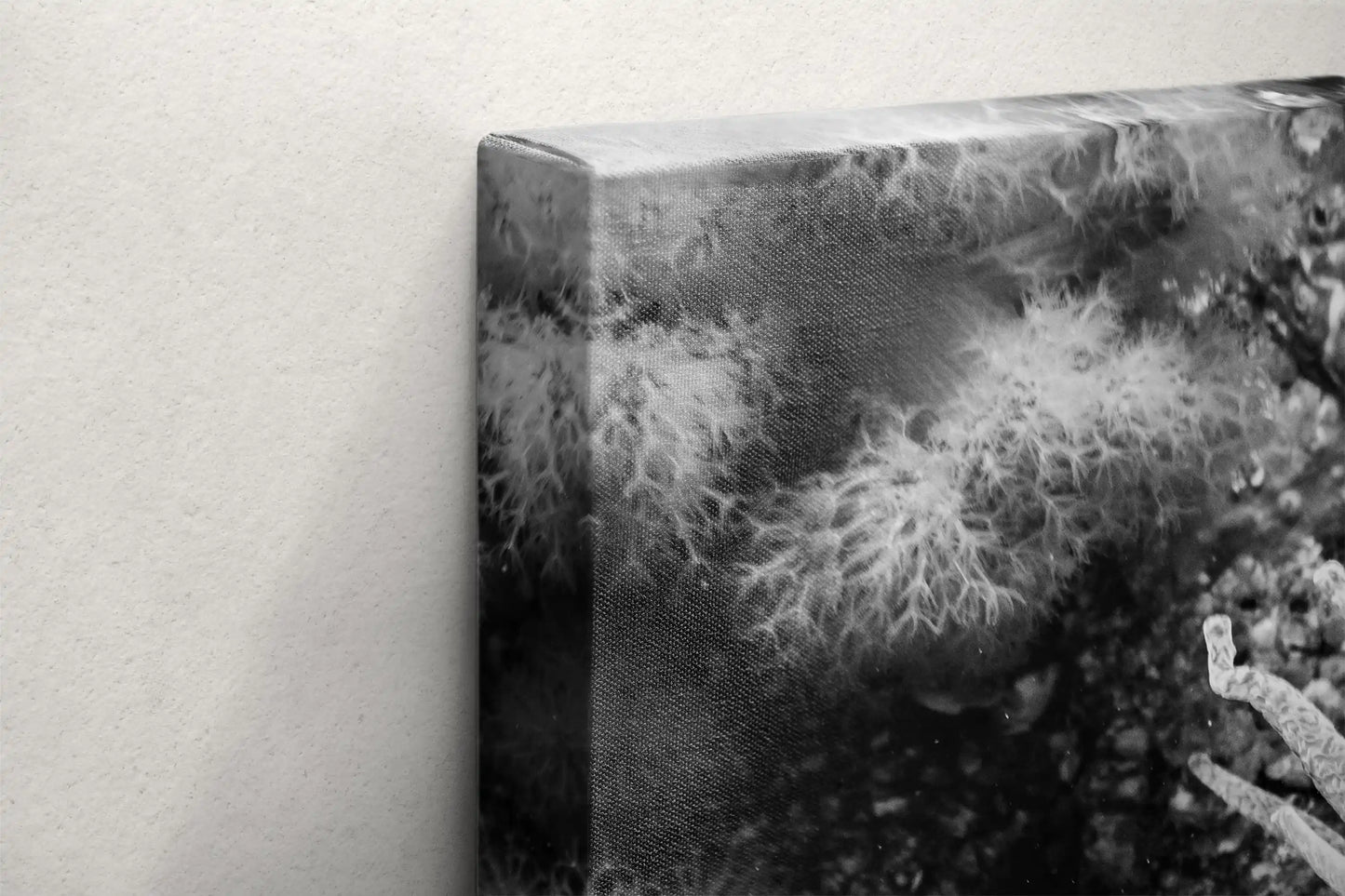 Side view of a canvas featuring a monochrome underwater photograph of a Crimson Anemone, showcasing depth and texture.
