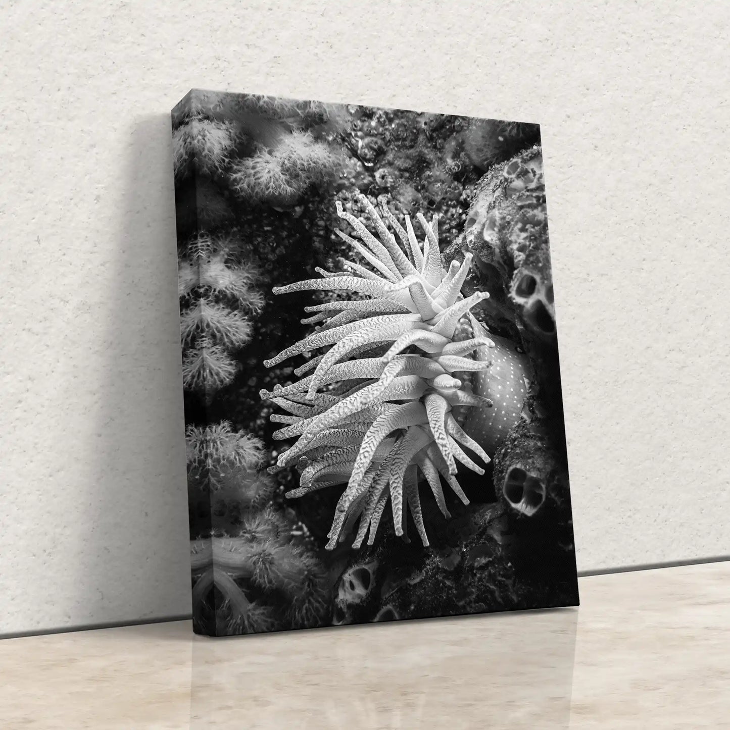 Sea Life Wall Art Anemone Underwater Ocean Lover Gift in Monochrome