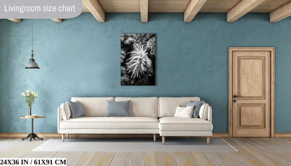 A large, 24x36-inch monochrome canvas of a Crimson Anemone creates a focal point above a living room sofa, blending well with contemporary interiors.