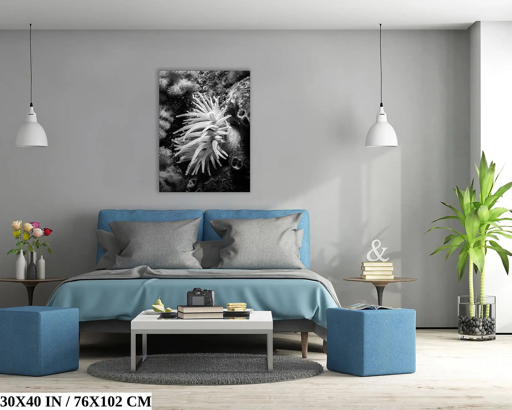 A spacious bedroom featuring a 30x40 canvas print of a Crimson Anemone underwater in black and white, adding a serene touch.
