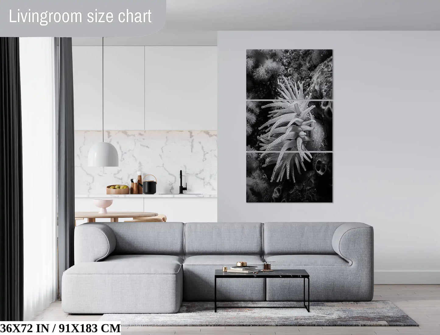 A 36x72 canvas print of a Crimson Anemone in black and white, spanning the wall of a living room for a dramatic visual impact.