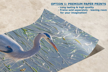 Great Blue Heron Decor, Wildlife Photography Art