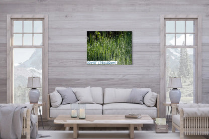 30x40 abstract dew on grass photo, Yosemite nature wall art, living room decor, modern home design, serene and stylish nature photography.