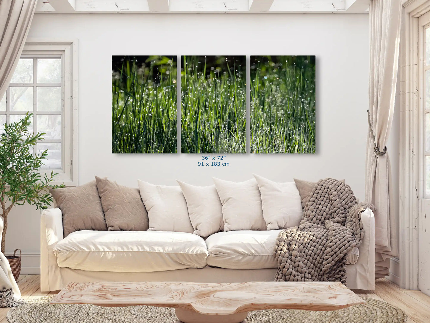 36x72 triptych of abstract grass and dew photo, Yosemite National Park wall art, large nature landscape prints, modern living room decor.