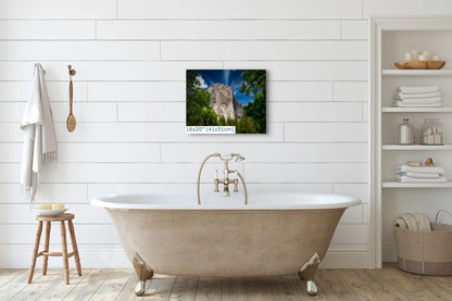 16x20 El Capitan photo in bathroom, Yosemite National Park, nature wall art, contemporary home decor, serene bathroom art.