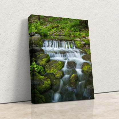 Fern Creek Waterfall Wall Art Decor with Mossy Green Rocks from Yosemite National Park