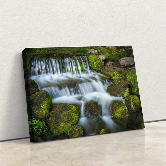 Fern Creek Waterfall Wall Art with Moss Covered Green Rocks from Yosemite National Park