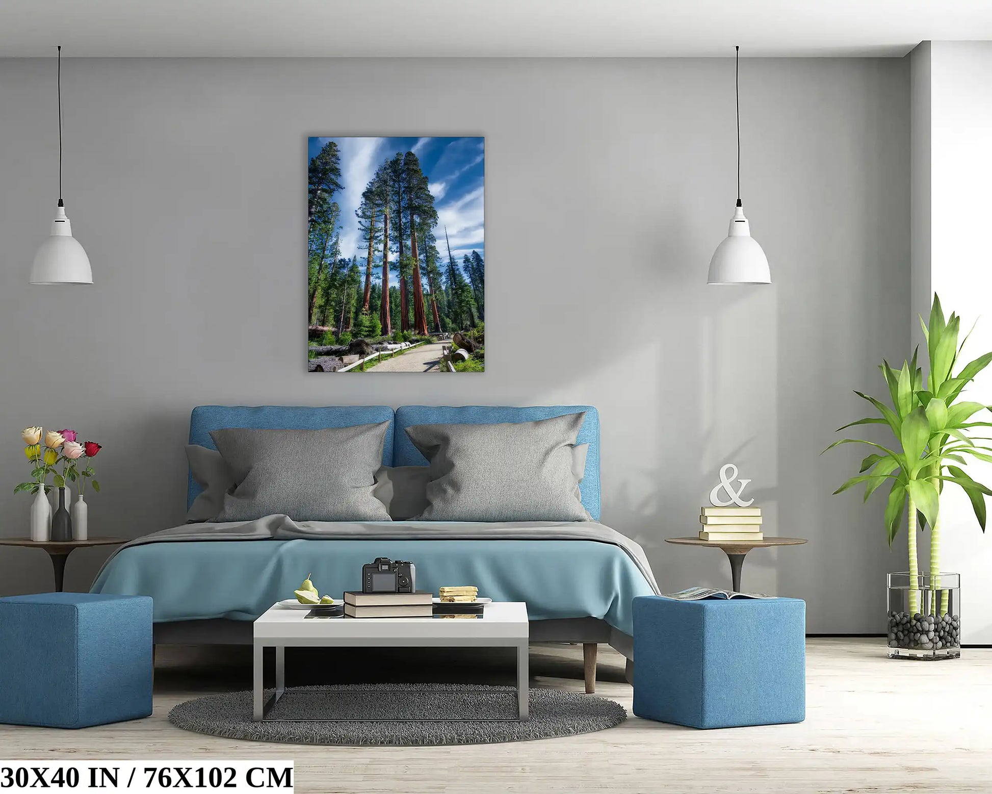 30x40 inch print of five Mariposa Sequoia trees displayed in a contemporary bedroom with a blue bed.