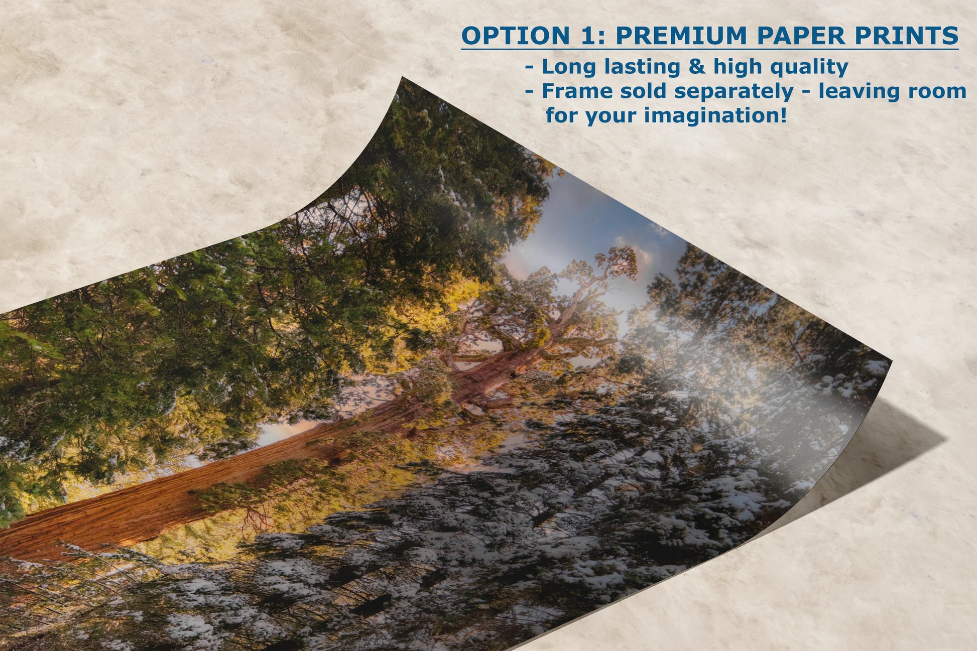A premium paper print of Grant Grove's Giant Sequoia lies ready for custom framing, offering a versatile and classic touch of nature for any décor.