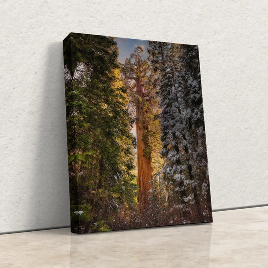A side-leaning canvas captures the towering beauty of Grant Grove's Giant Sequoia, an invitation to the grandeur of nature within a cozy living space.