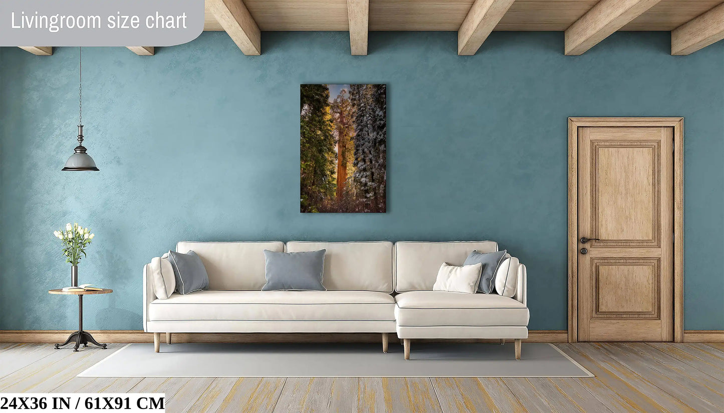 Giant Sequoia Tree Art, Redwood Forest Photography, National Park Poster for the Tree Hugger