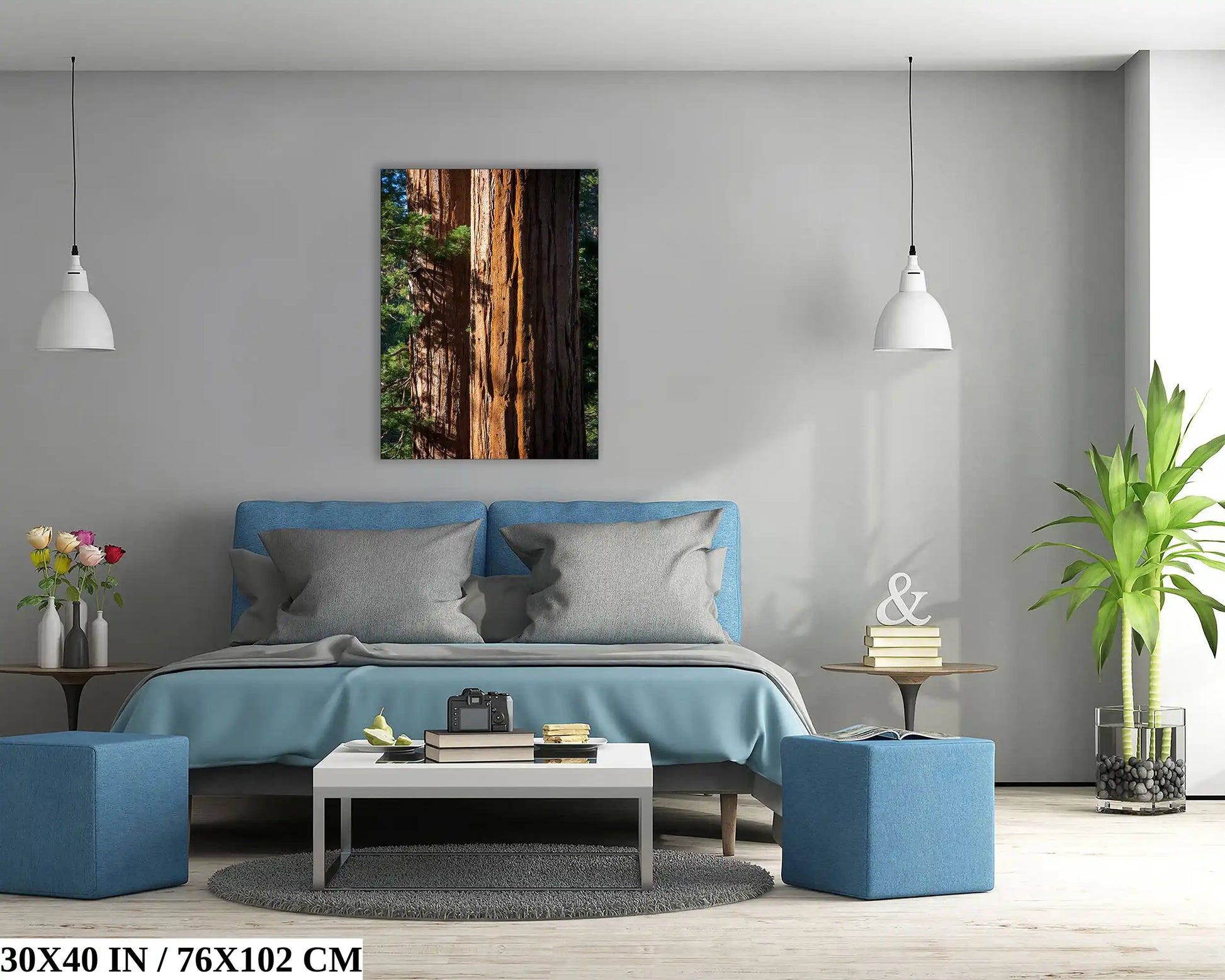 A 30"x40" canvas print of a Giant Sequoia tree close-up above a bed with blue bedding and gray walls in a contemporary bedroom.