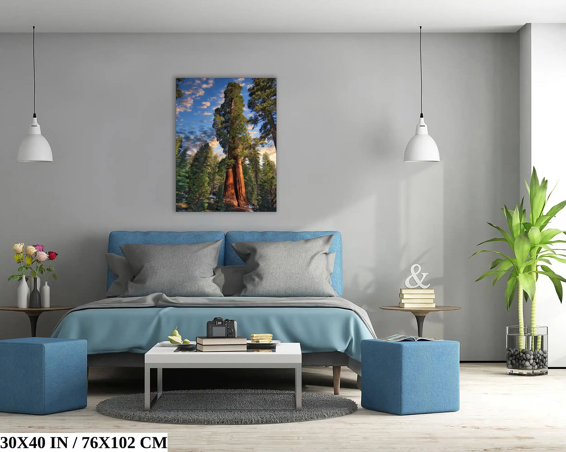 Giant Sequoia Tree Photograph 30x40-inch wall decoration in bedroom