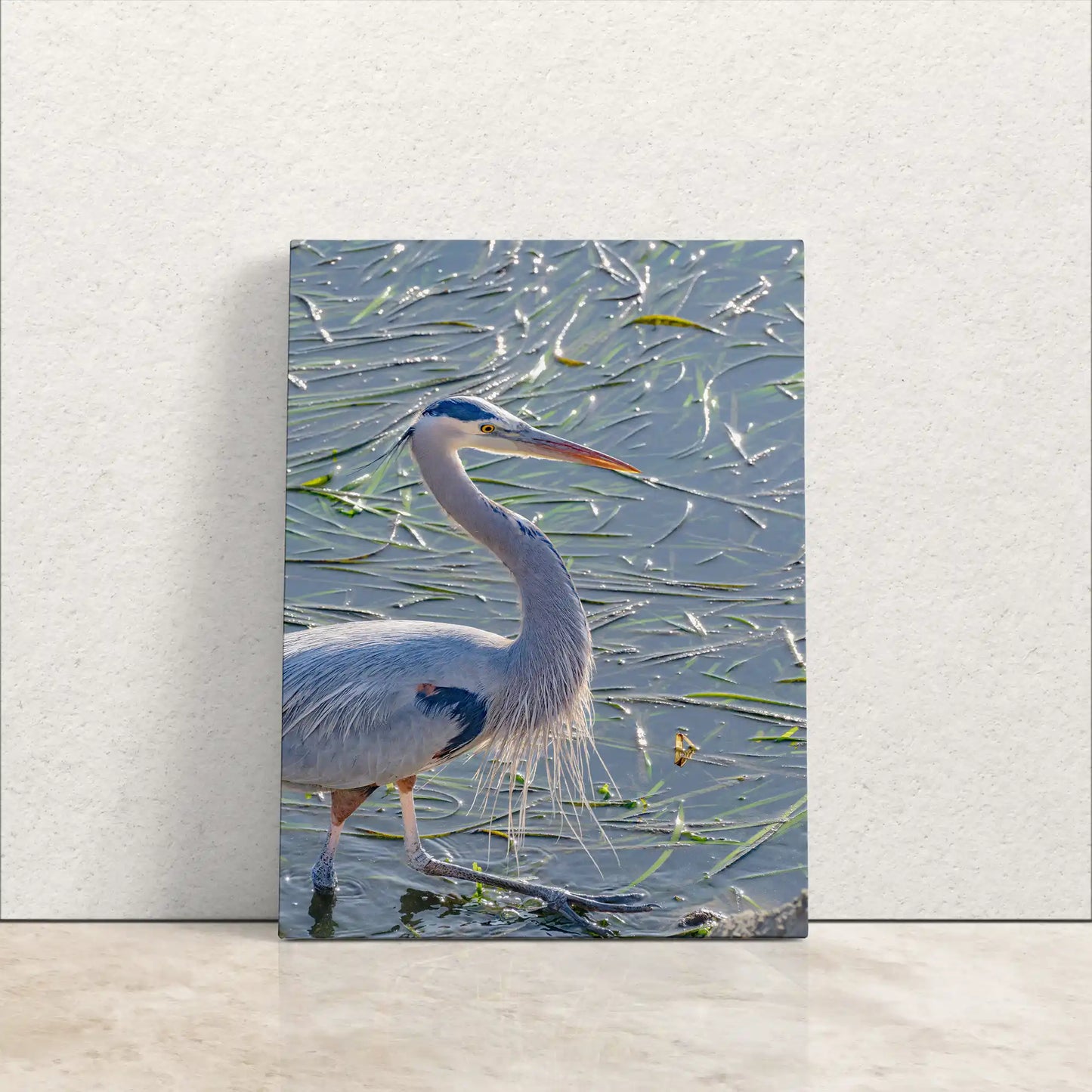 A great blue heron stands in water, depicted on a textured gallery-wrapped canvas with a close-up section detail.