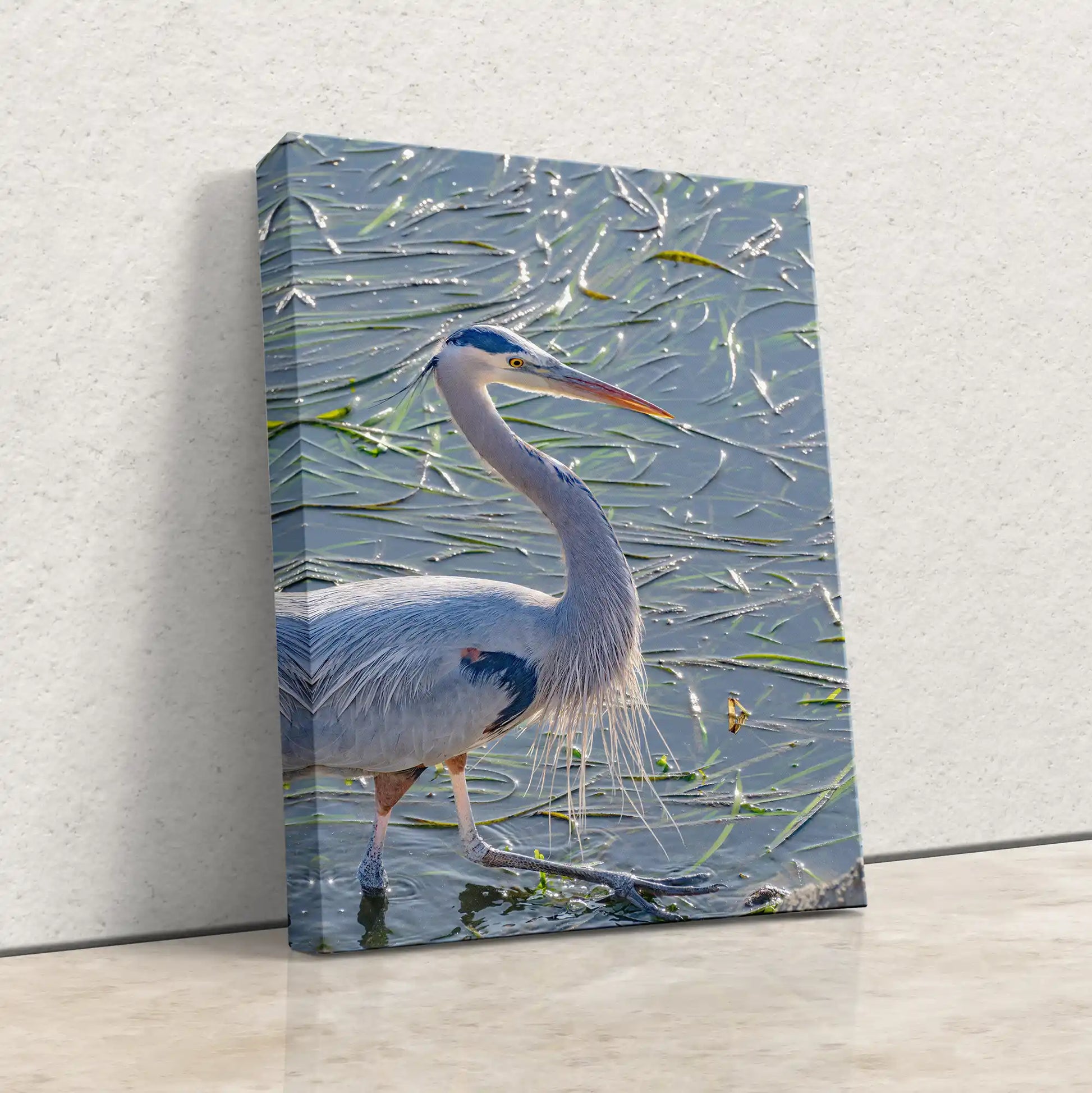 An angled view of a gallery-wrapped canvas featuring a great blue heron, highlighting the artwork's depth and side profile.