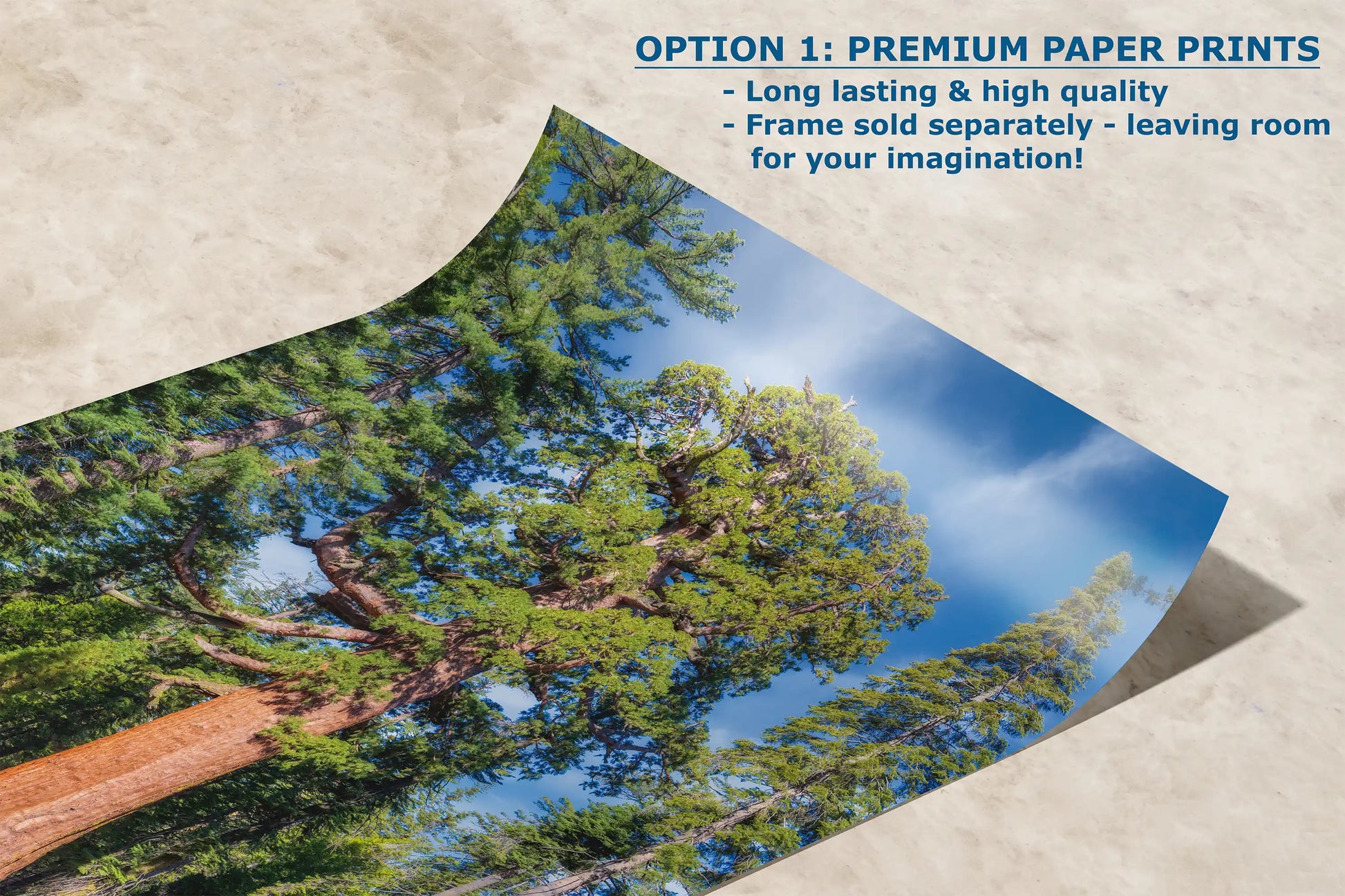 High-quality paper print of Grizzly Giant, Mariposa Grove in Yosemite with vibrant details.