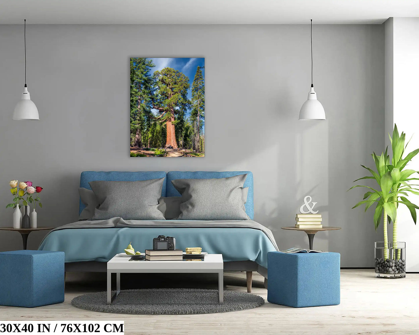 Yosemite's Grizzly Giant, Giant Sequoia print in 30x40 size enhancing a stylish bedroom.