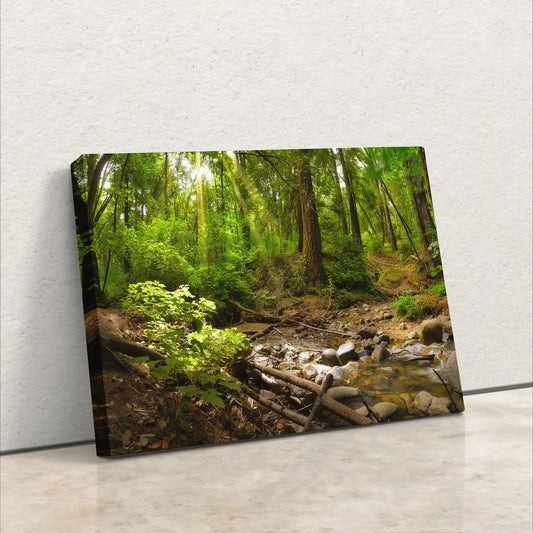 Side view of a canvas print displaying a dense redwood forest scene, showcasing the image wrap and canvas texture.