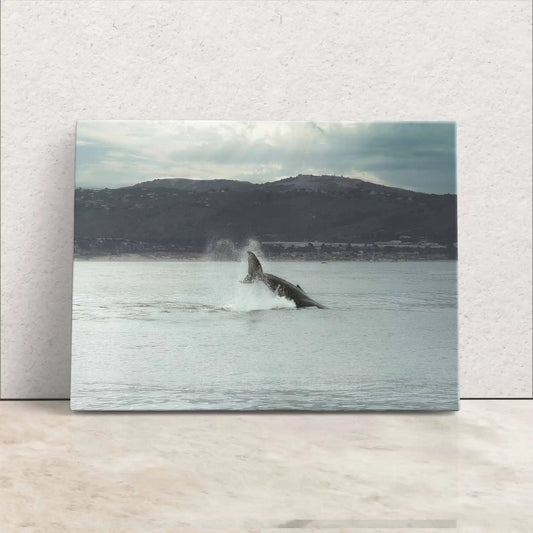 Humpback Whale Fluke as canvas wall decor