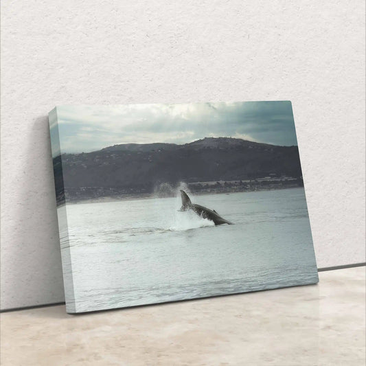 Humpback Whale Fluke as canvas wall decor