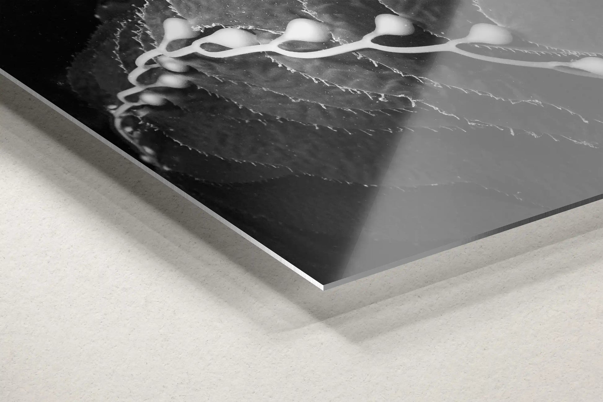 Detail of a sleek metal print's edge with a monochrome California Giant Kelp image, merging modern style with oceanic themes.