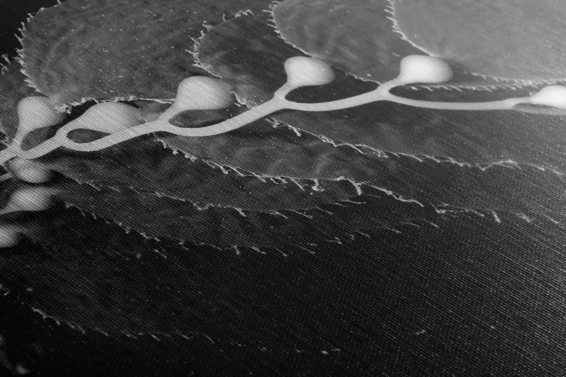 Close-up of a canvas wall art texture displaying an abstract kelp pattern in black and white.