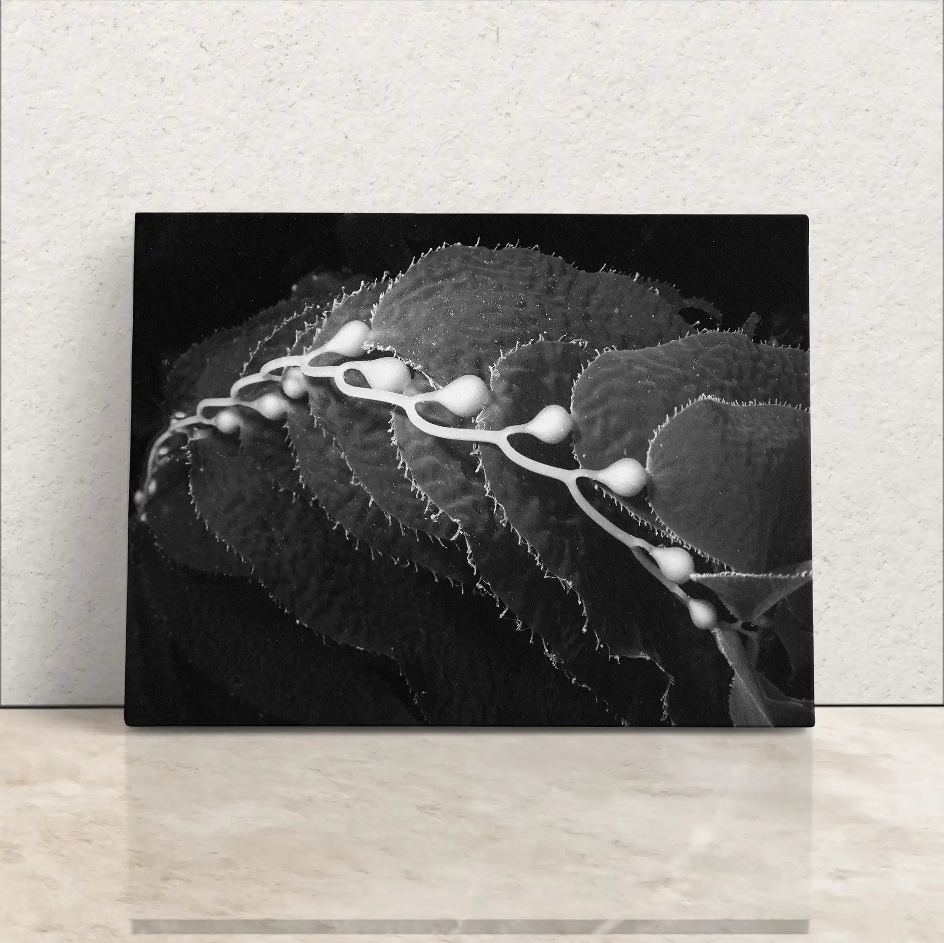 A canvas print leaning against a wall featuring a black and white underwater kelp scene.