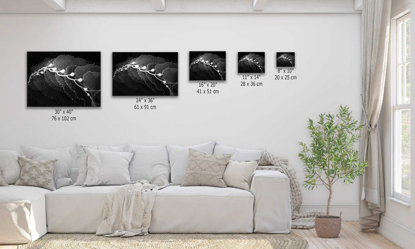 A series of black and white underwater kelp art canvases in various sizes displayed over a sofa.