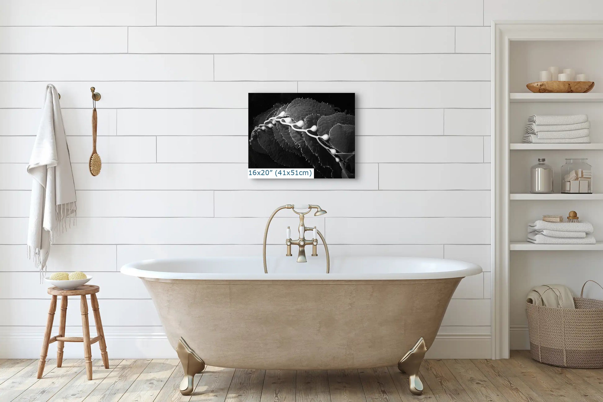 A 16x20 canvas print of black and white kelp photography enhancing the serene atmosphere of a bathroom.