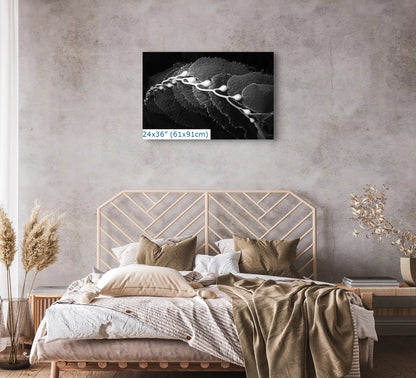 A bedroom accented with a 24x36 canvas print of an abstract kelp pattern in black and white.