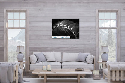 A living room with a 30x40 black and white kelp canvas print, adding a touch of nature to the decor.
