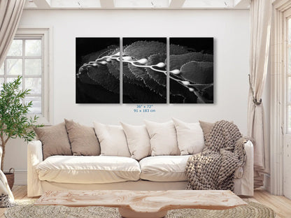 Spacious living room featuring a large 36"x72" black and white wall art print of California Giant Kelp, enhancing the room with a serene ocean vibe.