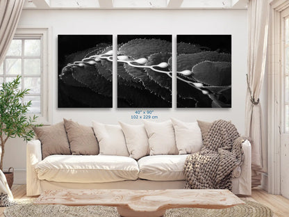 Contemporary living room adorned with an expansive 40"x90" black and white canvas of California Giant Kelp, creating a striking ocean art focal point.