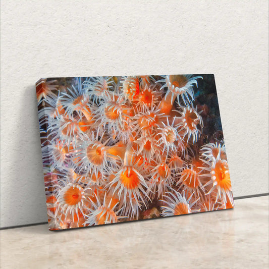 Canvas print leaning against a white wall, displaying vibrant light orange zoanthid coral in an underwater scene.