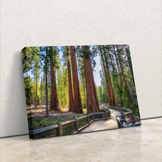 Giant Sequoia Mariposa Grove Wall Decor, Redwood Art Yosemite National Park